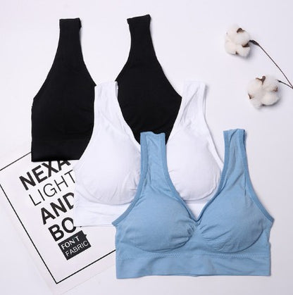 3-Pack Seamless Push-Up Bras: Wire-Free Comfort & Lift