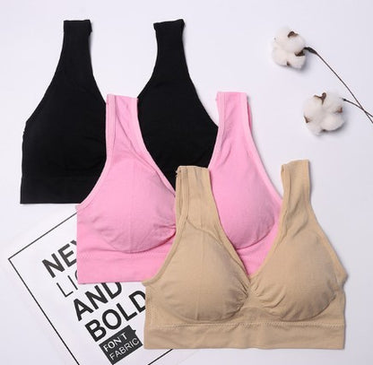 3-Pack Seamless Push-Up Bras: Wire-Free Comfort & Lift
